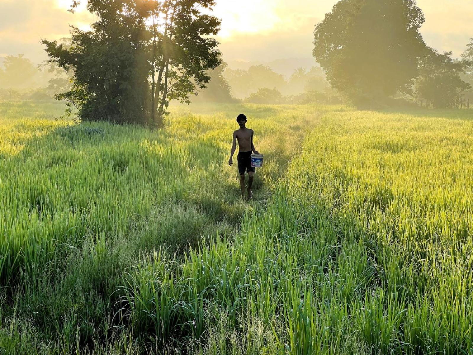 The Little Vegan Homestay Phumi Banteay Srei Экстерьер фото