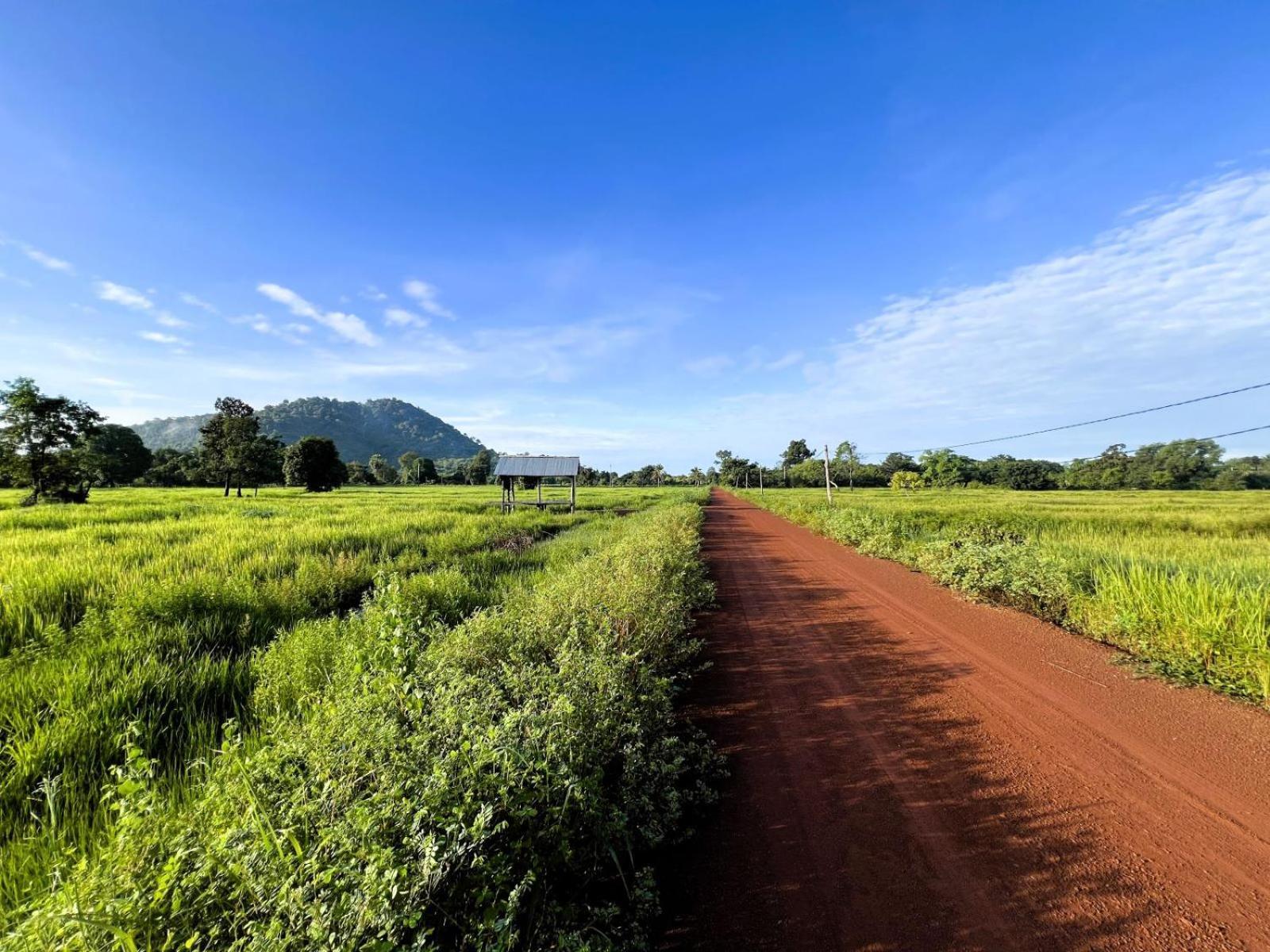 The Little Vegan Homestay Phumi Banteay Srei Экстерьер фото